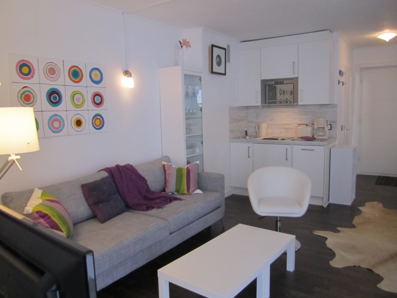 10 Wohn und Kochbereich