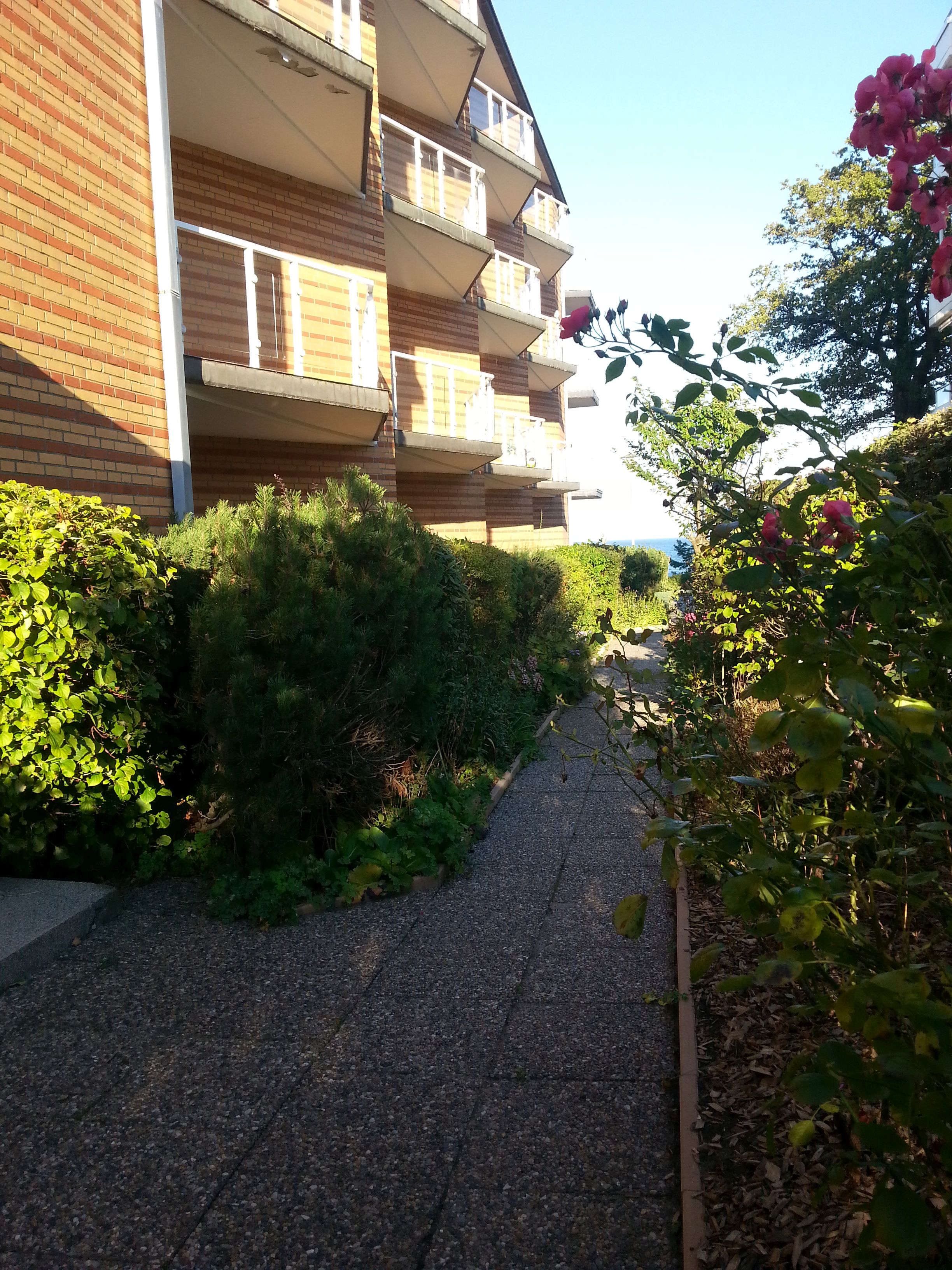 19 Blick vom Hauseingang